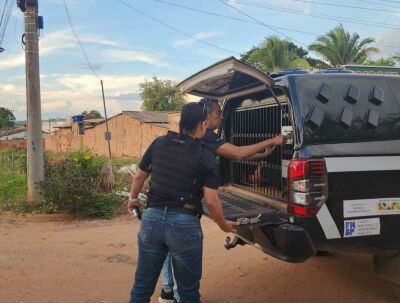 Imagem da notícia Homem é preso em Coxim por estuprar adolescente de 15 anos durante confraternização